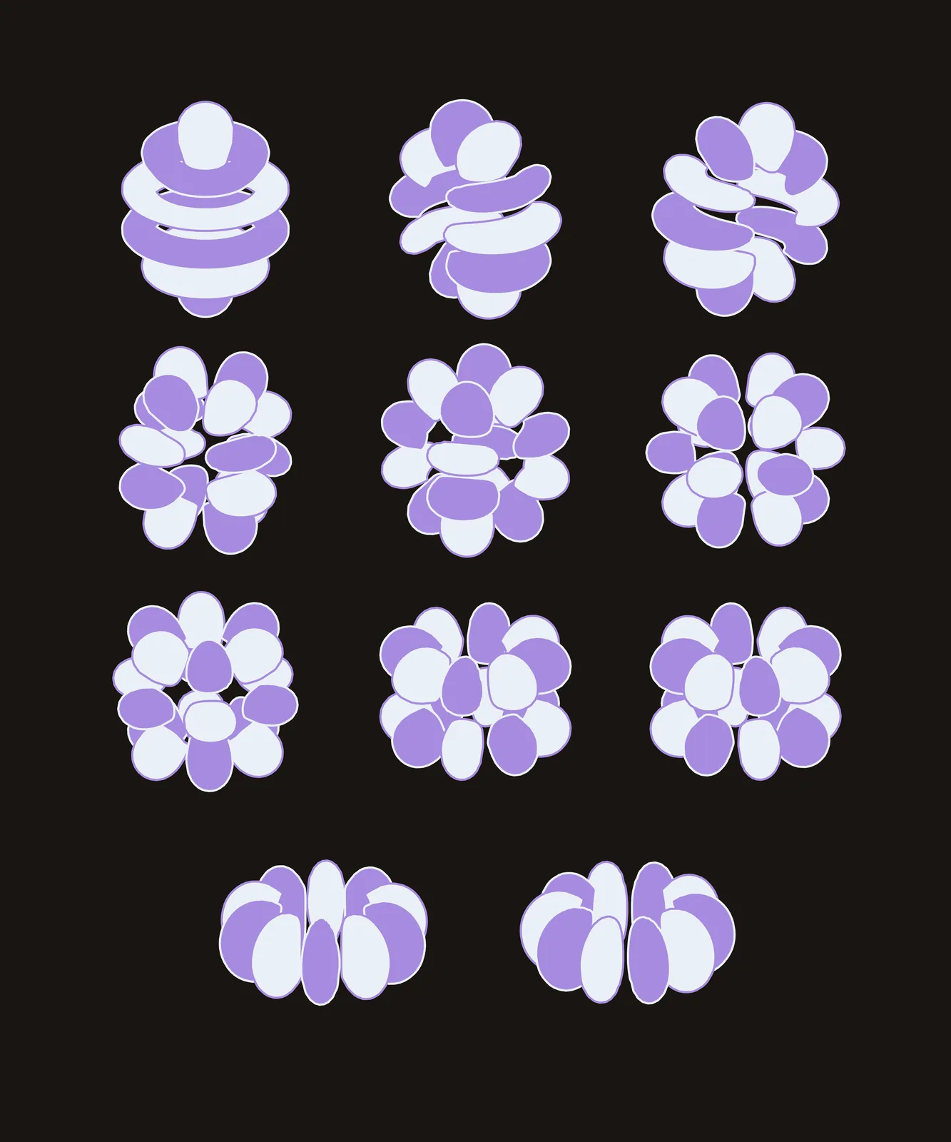 The h Orbitals