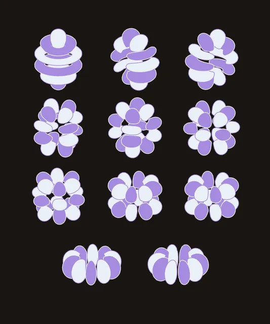 The h Orbitals